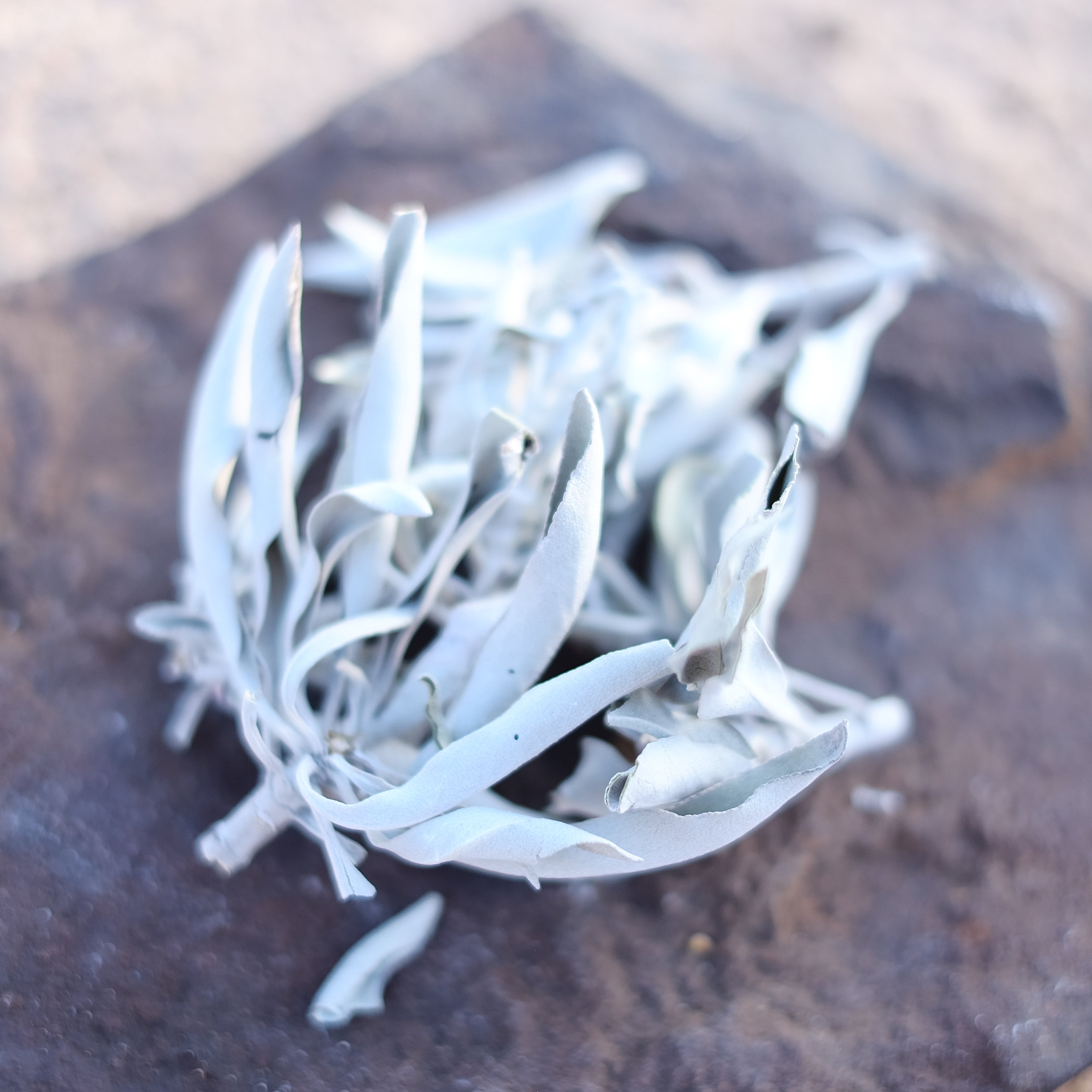 Desert Scent Incense Natural non toxic long lasting handcrafted quality incense קטורת טבעית