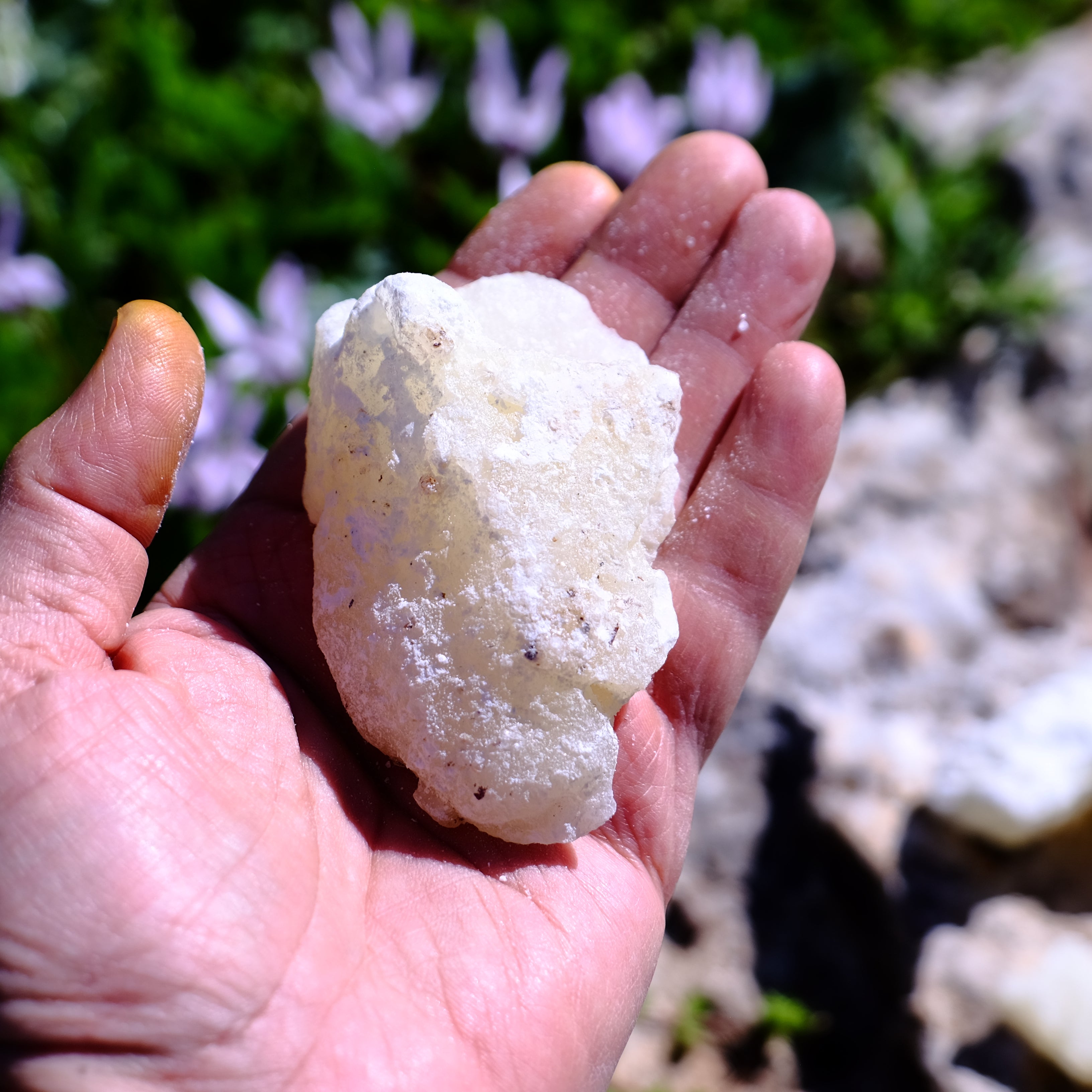 מבחר קטורת טבעית ללא חומרים סינתטיים בעבודת יד בסטודיו Desert Scent