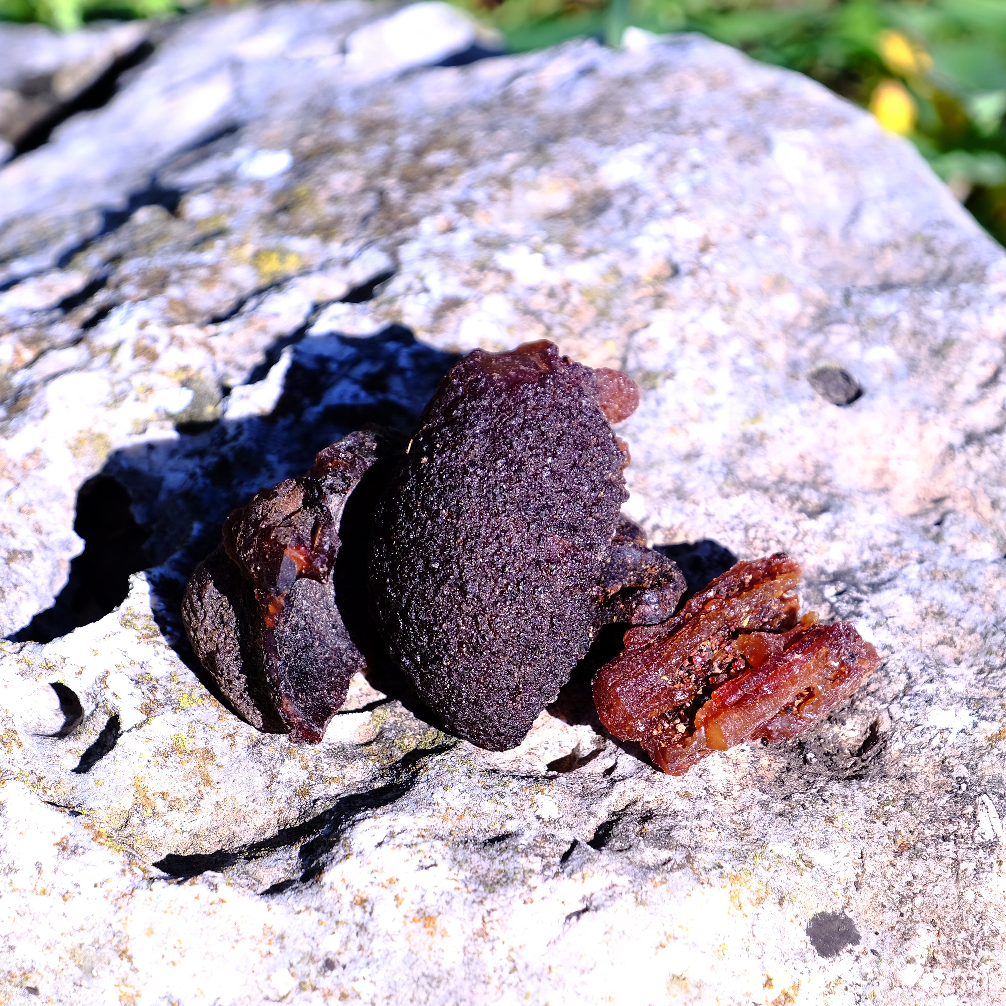 שרף קופאל חום גולמי מעץ הטורוטה, גושי שרף טבעיים לטיהור - דזרט סנט