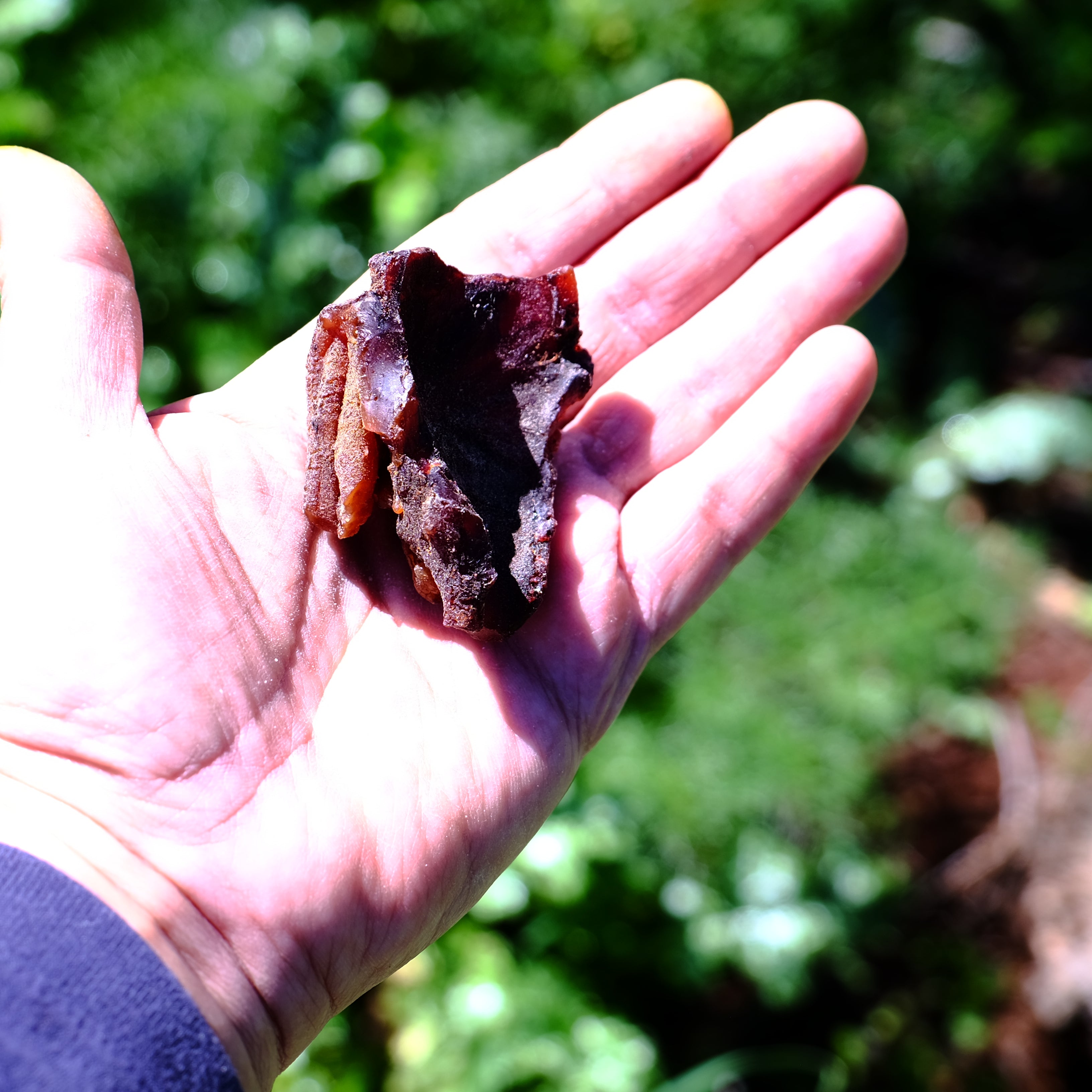 שרף קופאל חום גולמי מעץ הטורוטה, גושי שרף טבעיים לטיהור - דזרט סנט