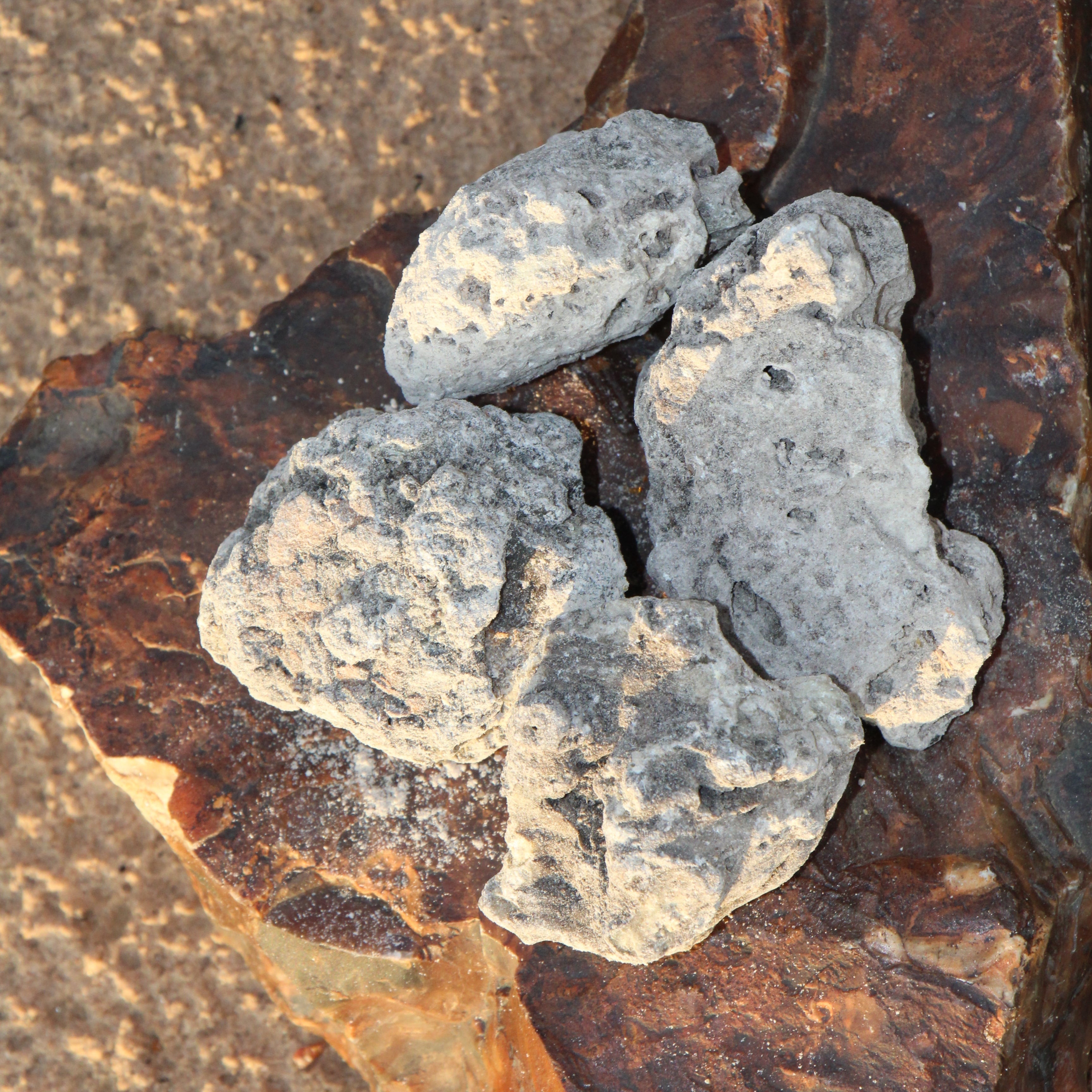 ערכת חומרי גלם להכנה של קטורת