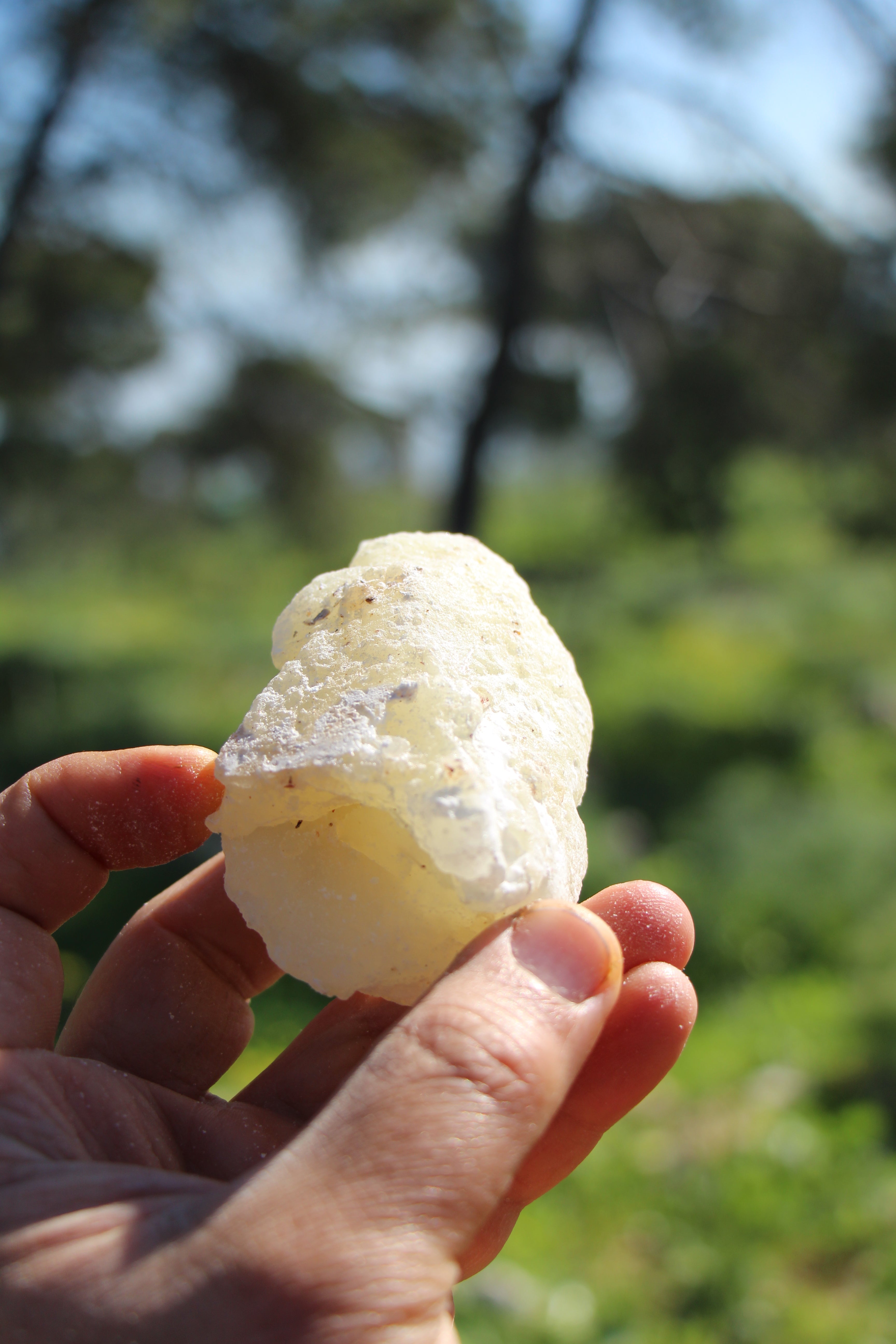 מבחר קטורת טבעית ללא חומרים סינתטיים בעבודת יד בסטודיו Desert Scent