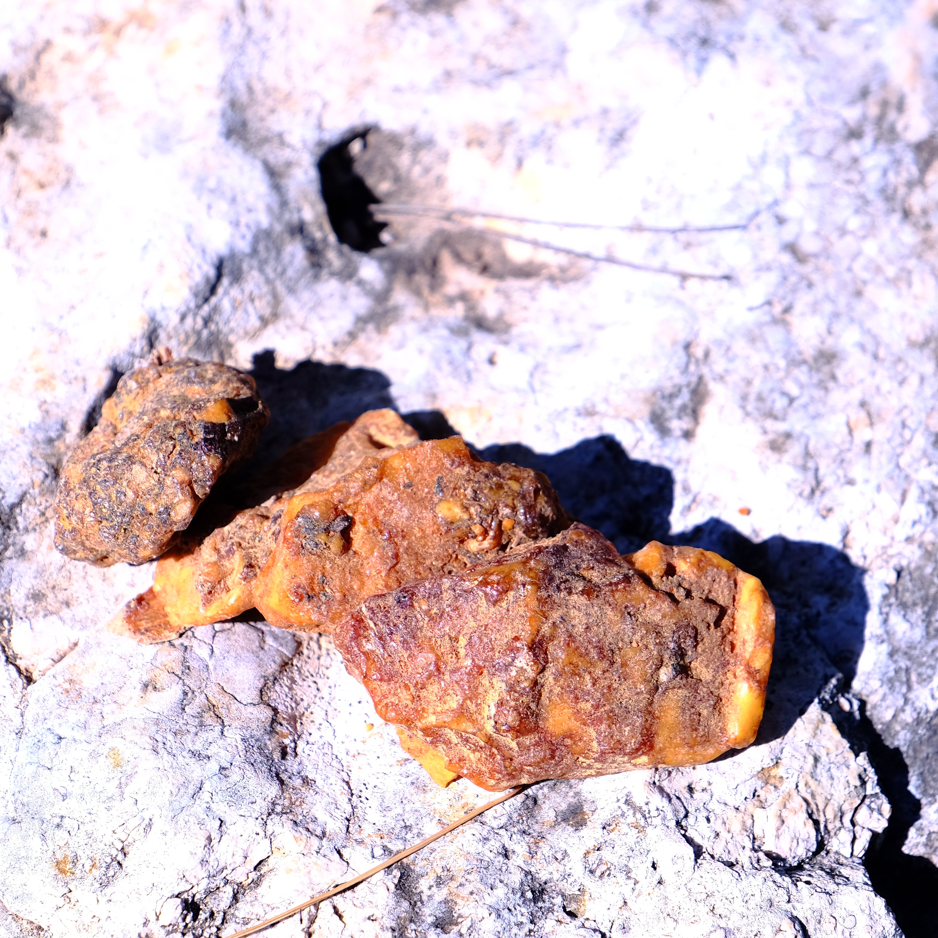 שרף בנזואין סיאם גולמי | קטורת טבעית בניחוח וניל עמוק | Desert Scent