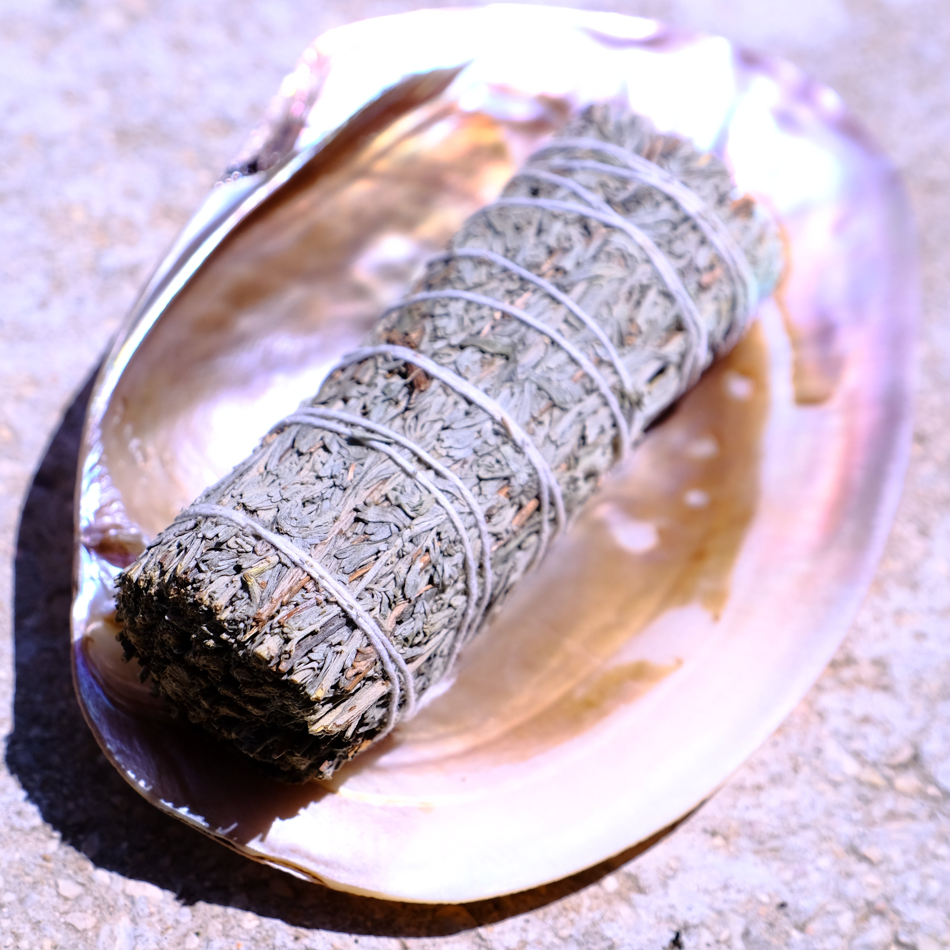 צרור מרווה כחולה עם צדף אבאלון (Blue Sage)