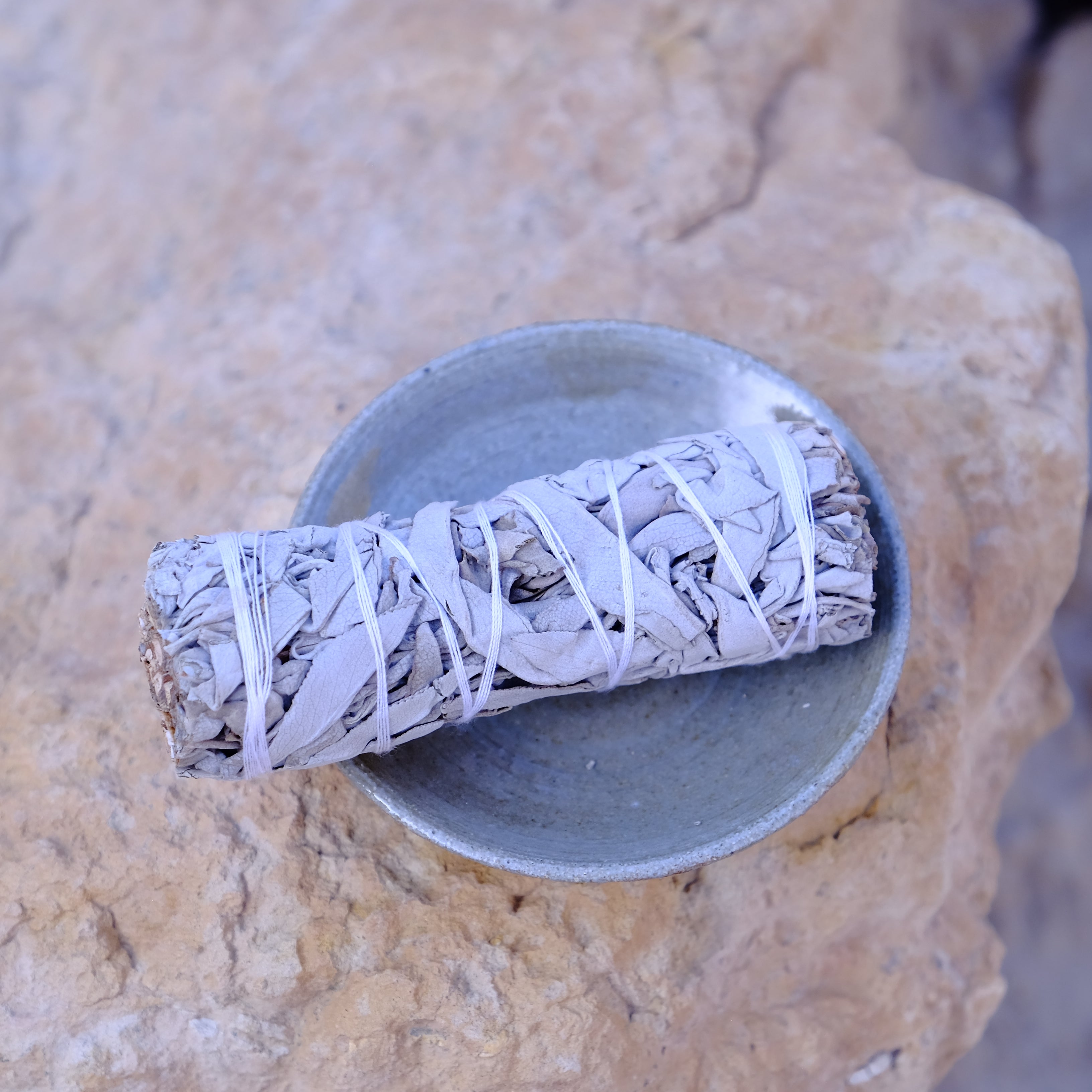 צרור מרווה לבנה