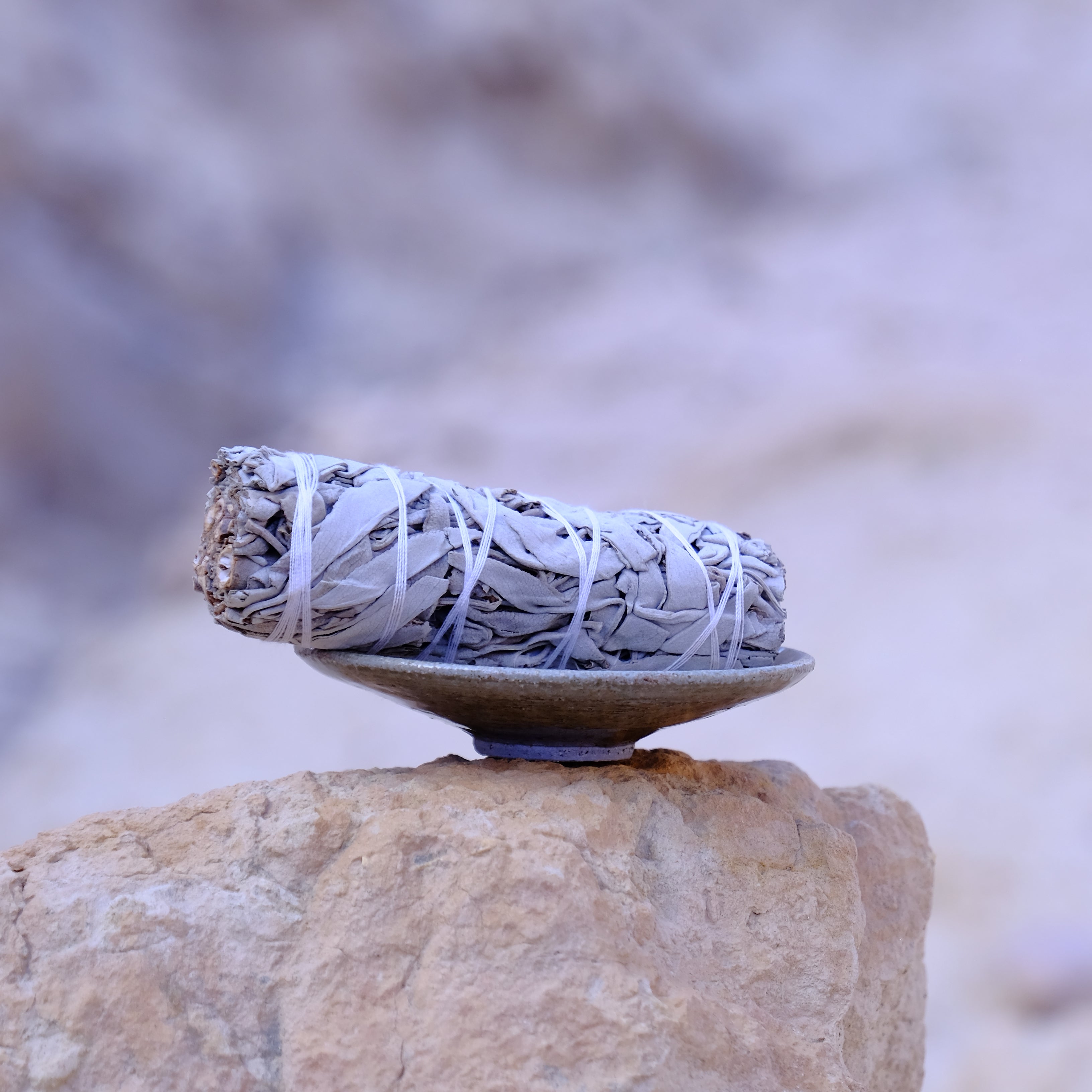 white_sage, מרווה_לבנה, צרור_מרווה_לטיהור