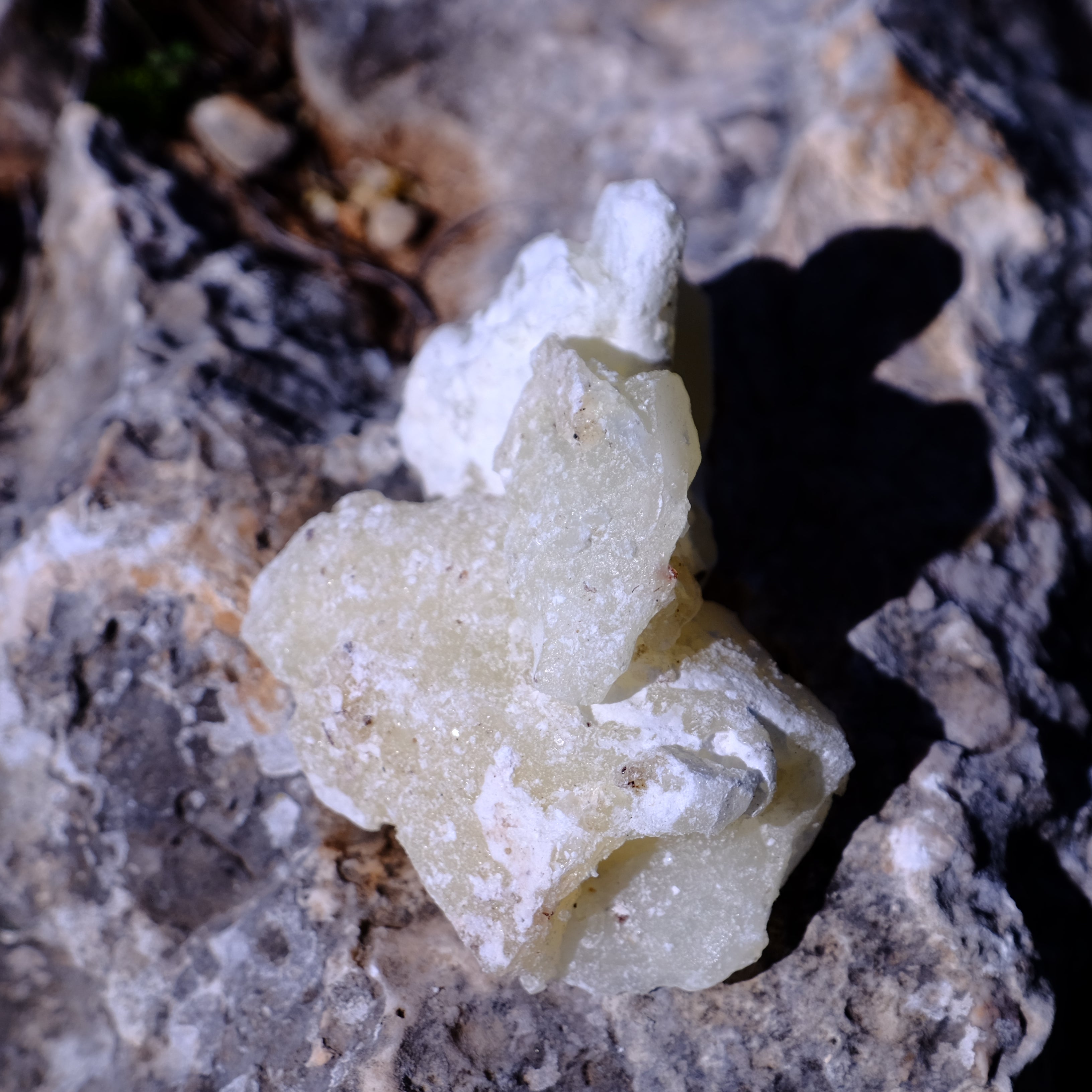 שרף קופאל לבן בהירות וטהורות לבעירה על גחל - דזרט סנט