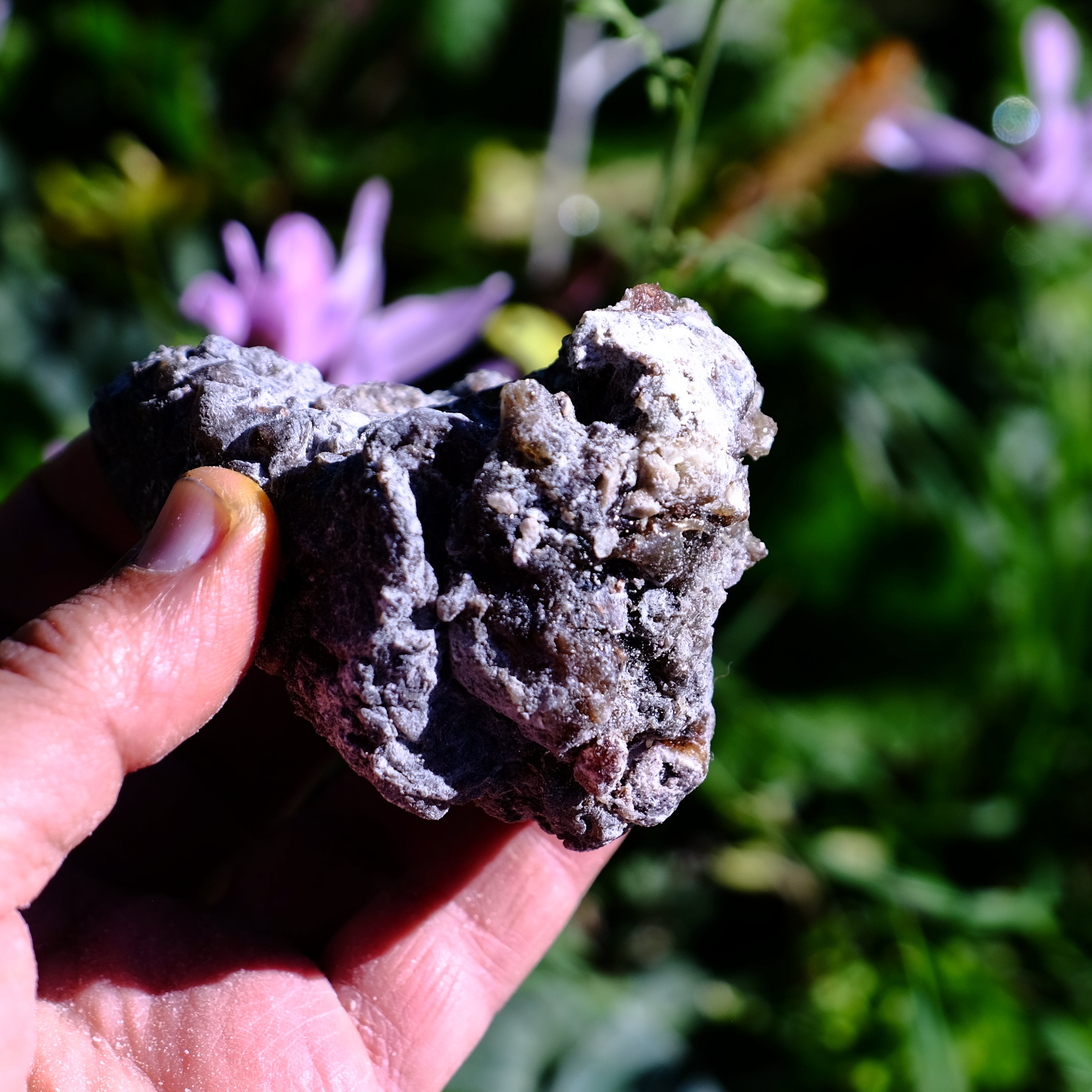 שרף קופאל שחור גולמי וכהה לבעירה על גחל, קטורת טבעית עוצמתית - דזרט סנט