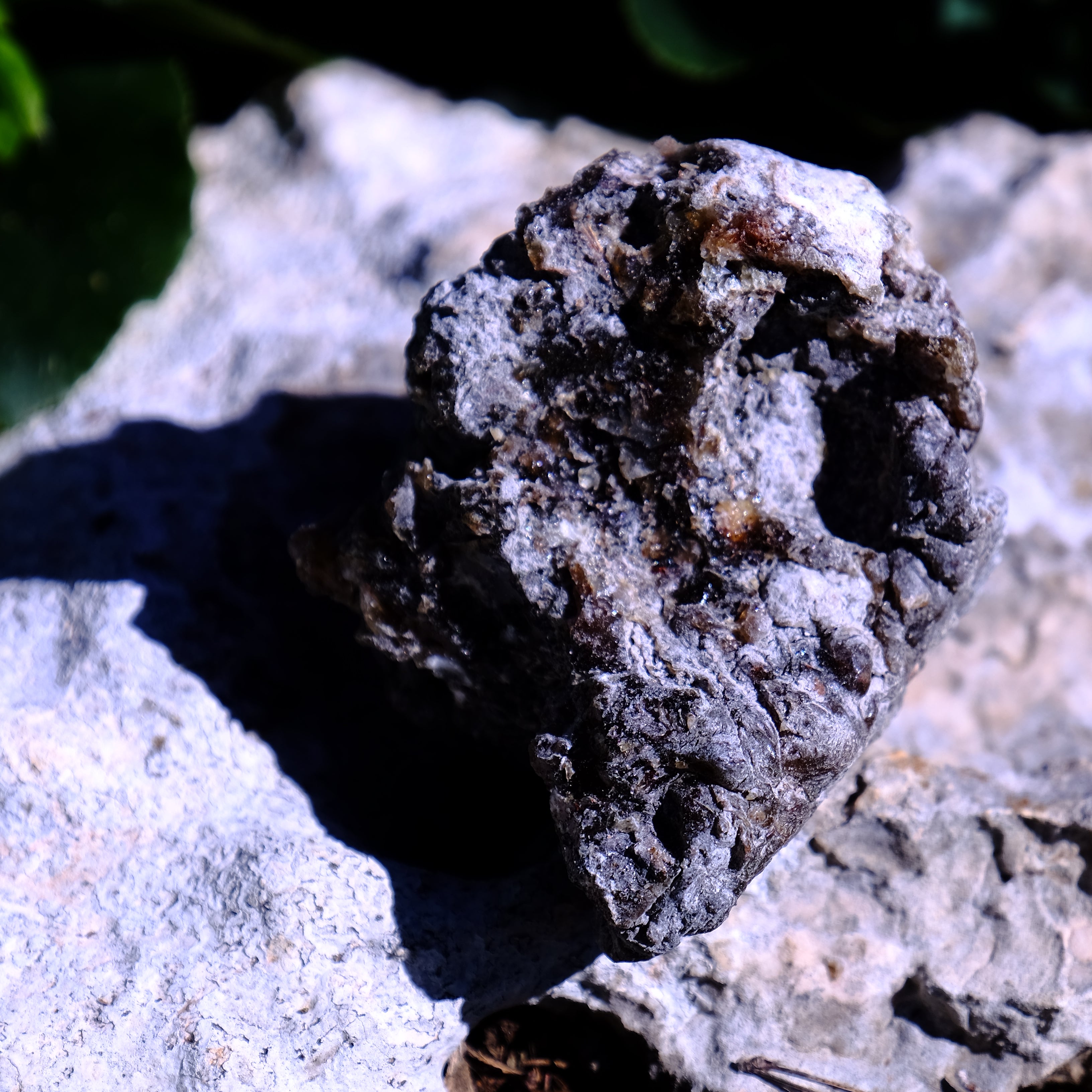 שרף קופאל שחור גולמי וכהה לבעירה על גחל, קטורת טבעית עוצמתית - דזרט סנט